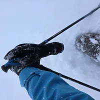 Відгуки