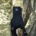 Водонепроникні рукавички DexShell Ultralite Gloves, DG368TS-HTBL (L)
