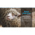 Водонепроницаемые перчатки DexShell ThermFit Gloves DG326TS-BOM (M)