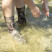 Водонепроницаемые носки Dexshell StormBLOK, камуфляж L (43-46)